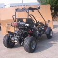 2 Seater Racing Buggy With Reverse 150cc Black 