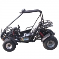 2 Seater Racing Buggy With Reverse 150cc Black 